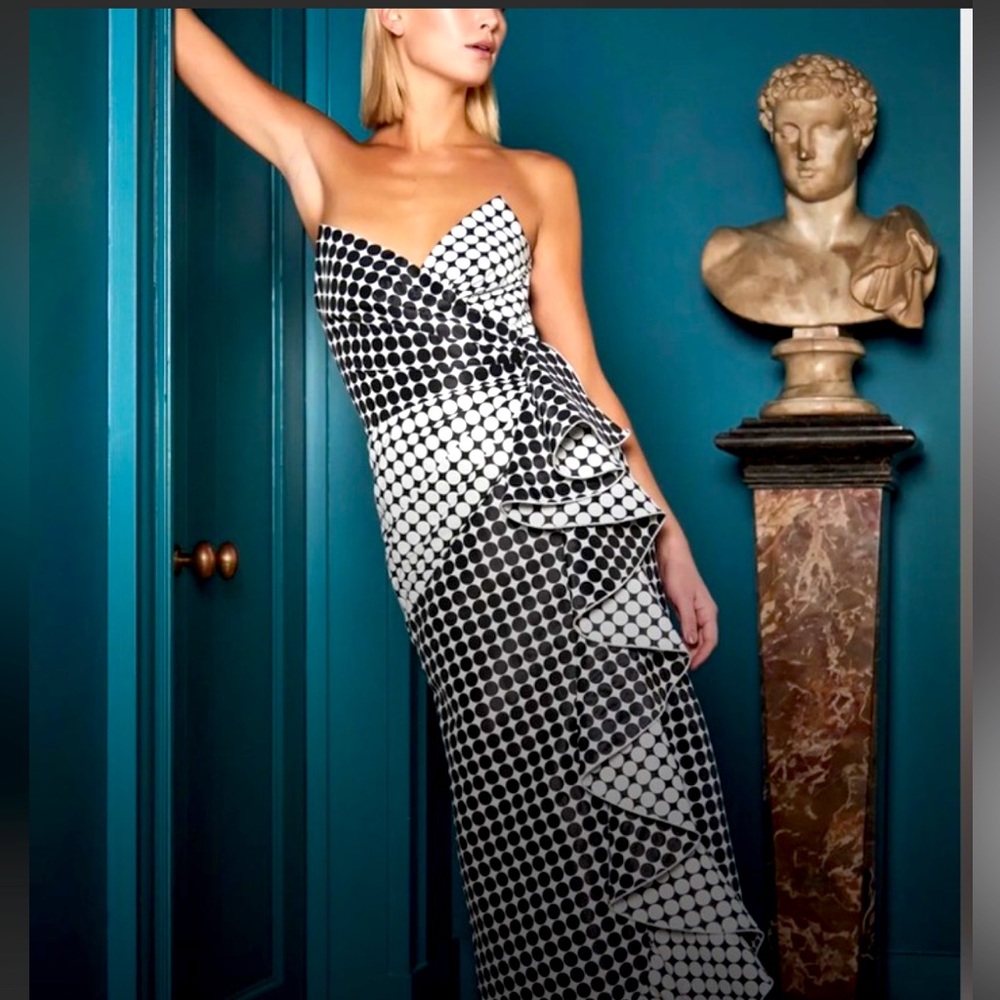 TADASHI SHOJI
Jacquard Polka Dot Gown - Stunning!